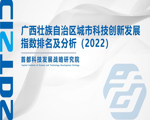 干逼逼视频软件下载【成果发布】广西壮族自治区城市科技创新发展指数排名及分析（2022）